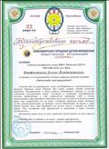 Благодарственное письмо Новосибирской городской детско-юношеской организации " Солярис"